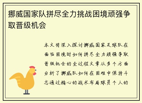挪威国家队拼尽全力挑战困境顽强争取晋级机会